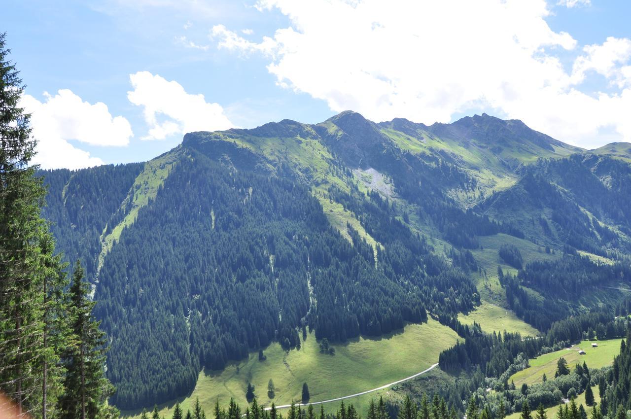 Chalet Almhütte Lengau