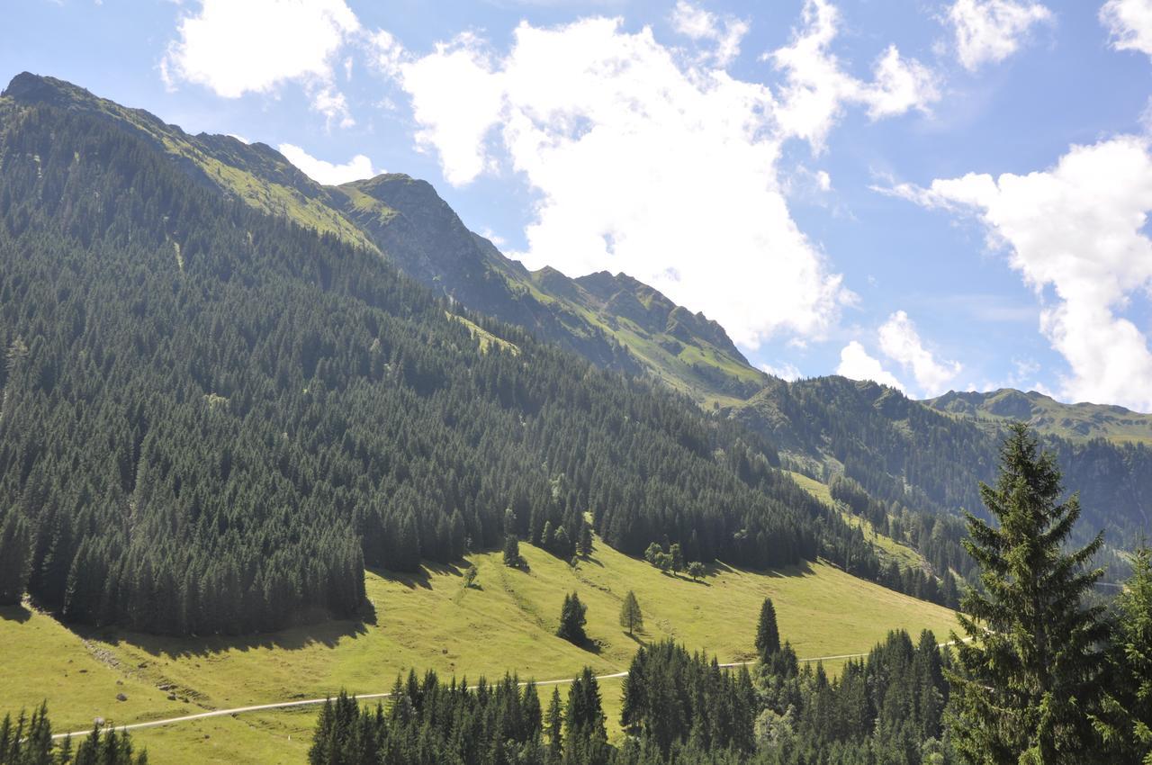 Almhütte Lengau Saalbach
